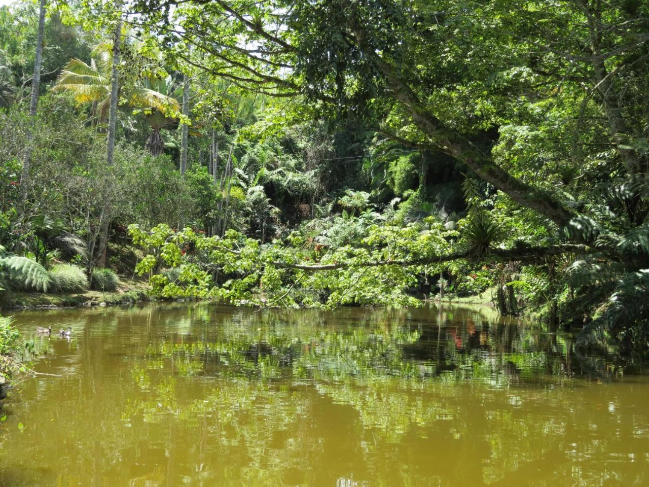 Eco Hotel Los Lagos Marsella  Eksteriør bilde